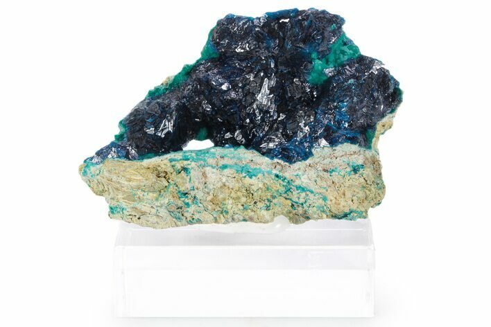 Sparkling Blue Veszelyite Cluster on Zincolibethenite - Congo #355912